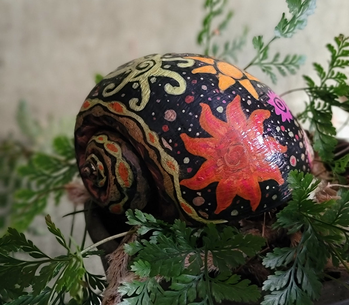 Hand-painted Apple Snail Shell "Funky Suns"
