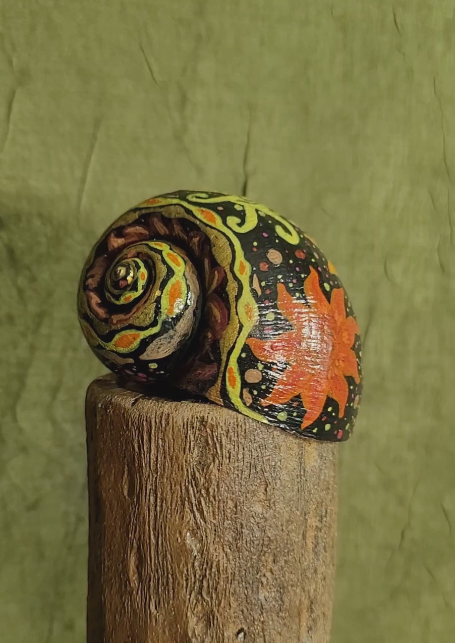 Hand-painted Apple Snail Shell "Funky Suns"